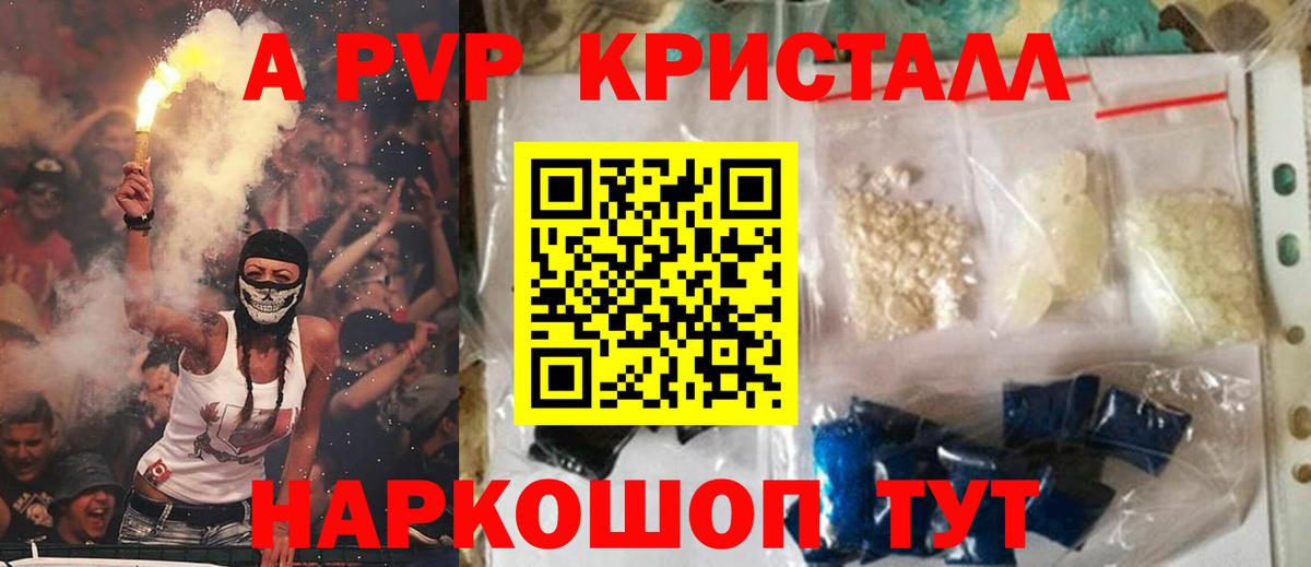 APVP СК Курчалой