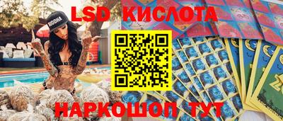 прущие крисы Камышлов