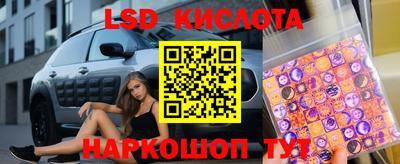 прущие крисы Камышлов