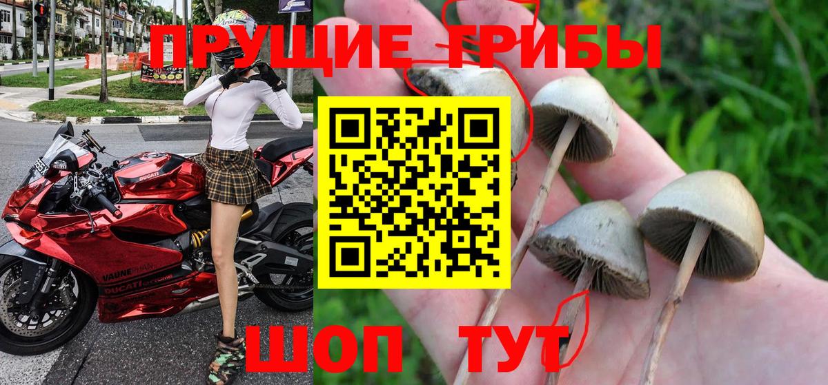 Галлюциногенные грибы ЛСД  Псилоцибиновые грибы прущие грибы  Вход с VPN  Курчалой 